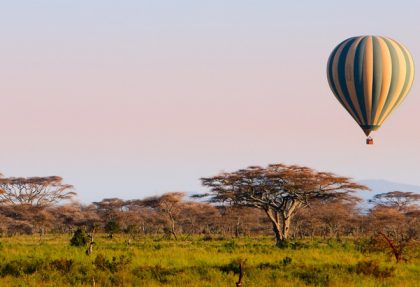 Top 10 African Safari vacation activities