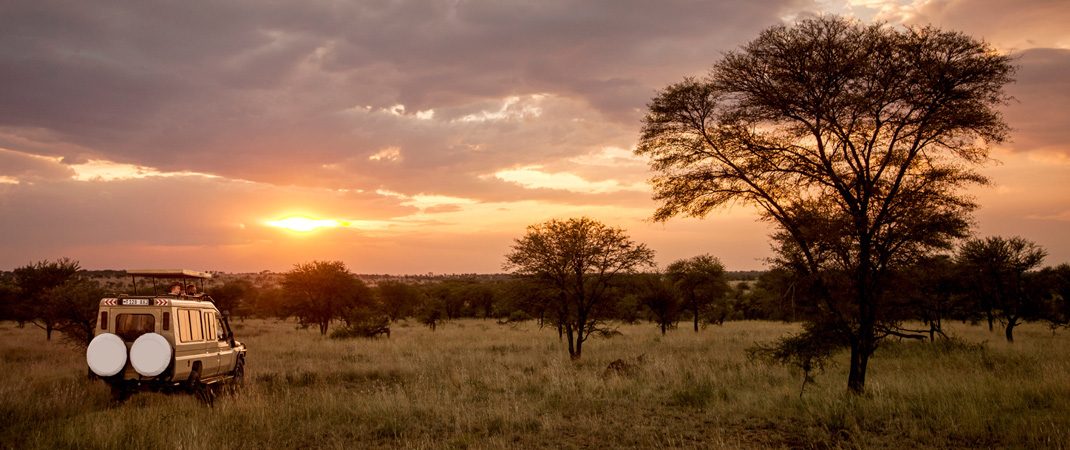 Serengeti Park - Safari Planning Guide