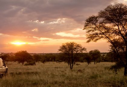 Serengeti Park - Safari Planning Guide