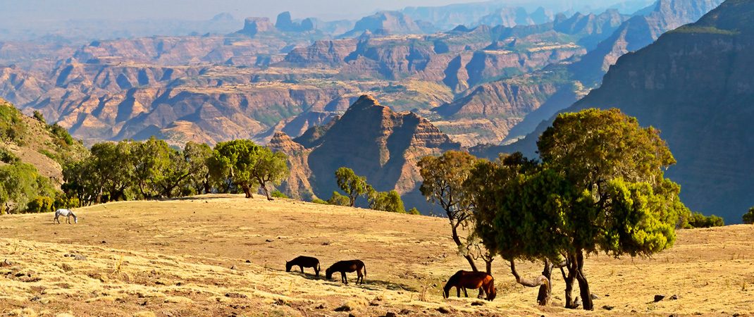 Ethiopia Trip Guide for Beginners