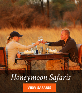 Africa Honeymoon safaris from Hallmark Travel Planners
