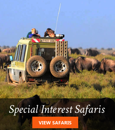 special interest Africa safaris