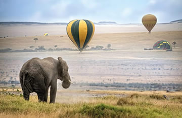 balloon safaris masai mara