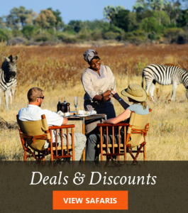 Africa safaris special offers deals and discounts