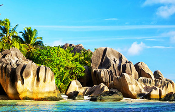 Seychelles Safari Package from African travel hub