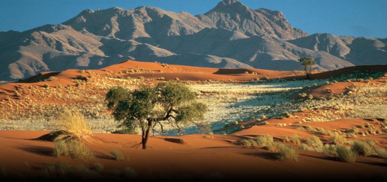 10 Days Namibia Highlights Safari