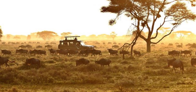 12 Days East Africa Trip Combining Kenya and Tanzania