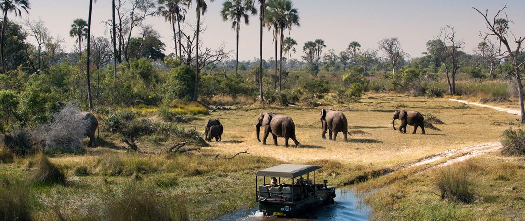 Okavango-Delta-Safari Planning Guide