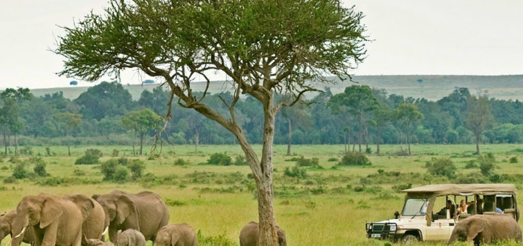 Tanzania safari adventure