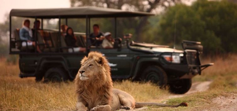 Okavango-Safari-Lodge-Botswana-Safari