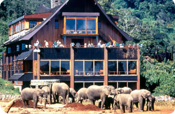 The Ark Lodge Kenya