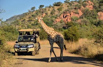 africa luxury safaris