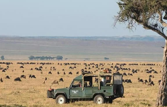 air safaris masai mara