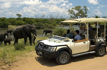 okavango delta safaris