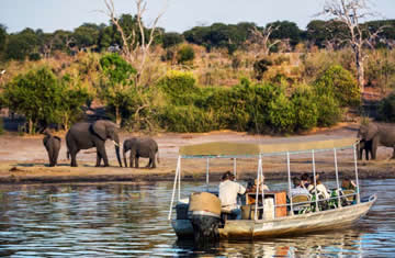 Honeymoon in Botswana
