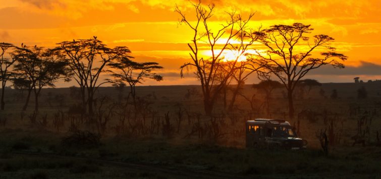 kenya adventure safari sunrise