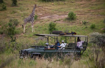 Loisaba Safaris