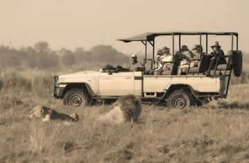 Botswana flight safaris
