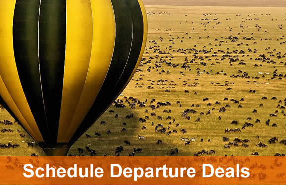 Serengeti Mara Migration safari deals