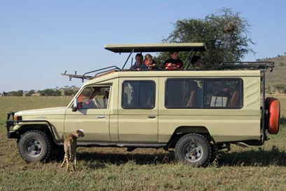 Insider's Guide To Pertect Kenya - Tanzania Safari Vacations