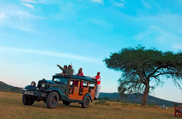 cottars camp game drives