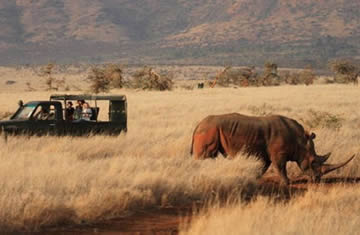 Lewa safari camp
