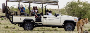 Open-side Safari Vehicles