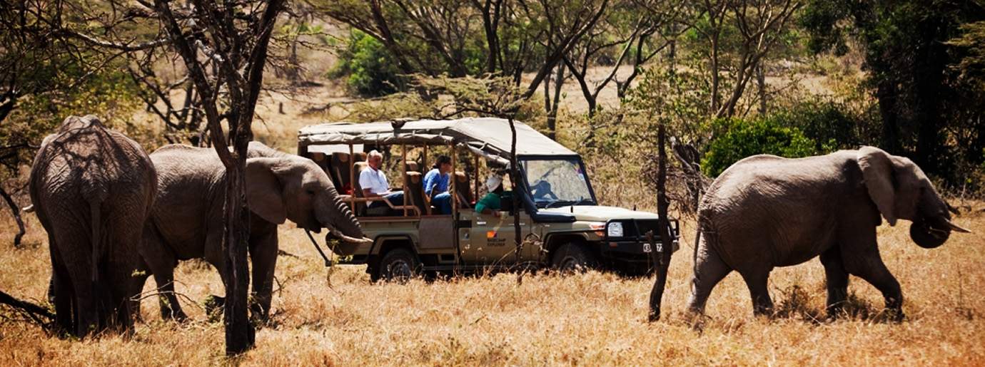 African safari travel services | Safaris to Africa, Trips & Vacations