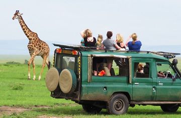 serengeti safaris