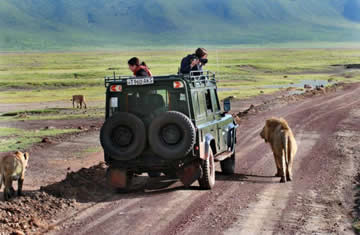 Ngorongoro Safaris