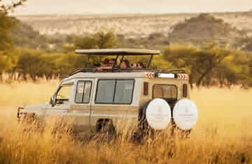 Serengeti safari drives