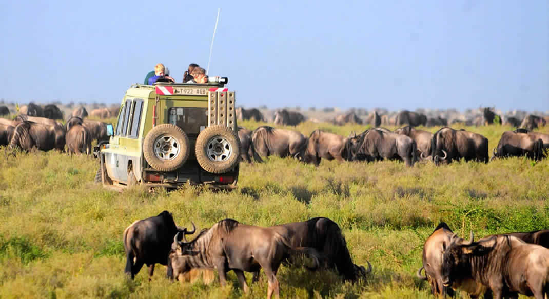 Serengeti Africa Safaris