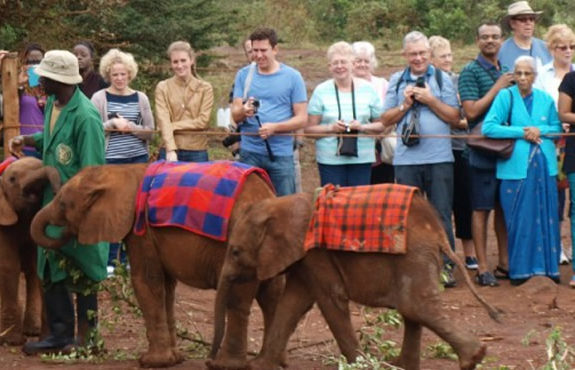 elephant orphanage in Nairobi