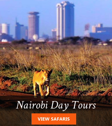 Nairobi Day Tours