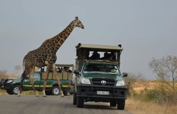 3 Days Safari to Sabi Sands South Africa