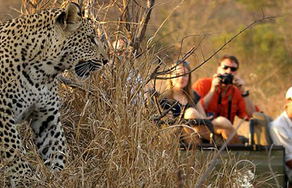 3 Days Kruger park safari
