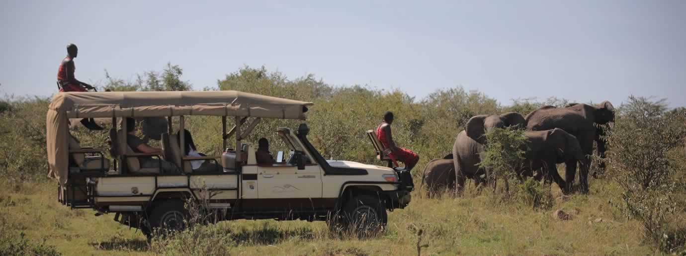 Africa Safaris, Trips & Vacations 2023-2024 [Best Deals]