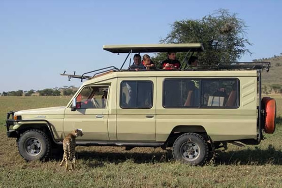 Long chassis safari vehicle
