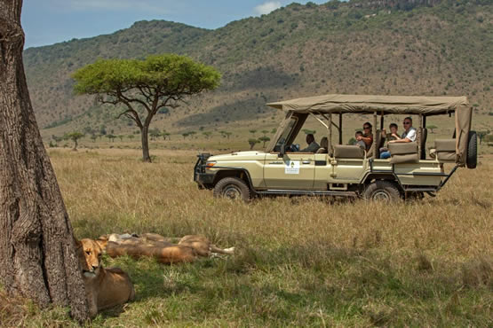 safari jeep open