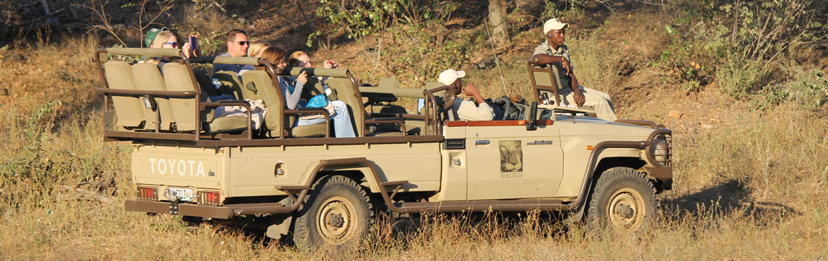 Open Safari Jeep Game Drives