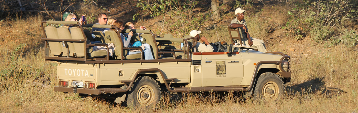 African Safari Car