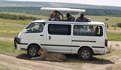 safari mini van game drives