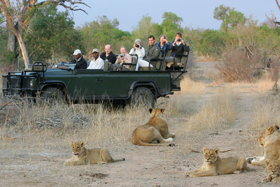 Completely Open Safari Vehicle