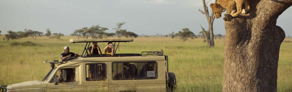 4x4 safari vehicles for safaris