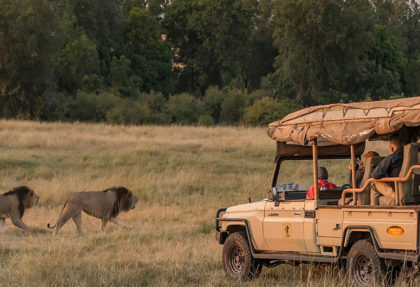 Kenya - Tanzania Safaris