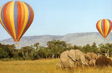 Hot air balloon in masai mara