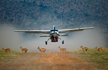 Arrival Masai Mara by air