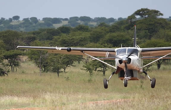 Flight Safaris Tanzania North