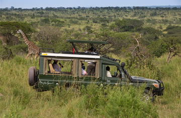 Game drives in Serengeti
