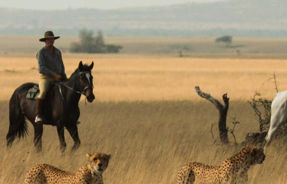 horse riding kenya safaris